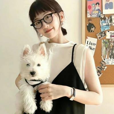 凤舞龙翔