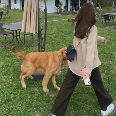 惩囚逆子