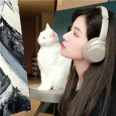 小石头